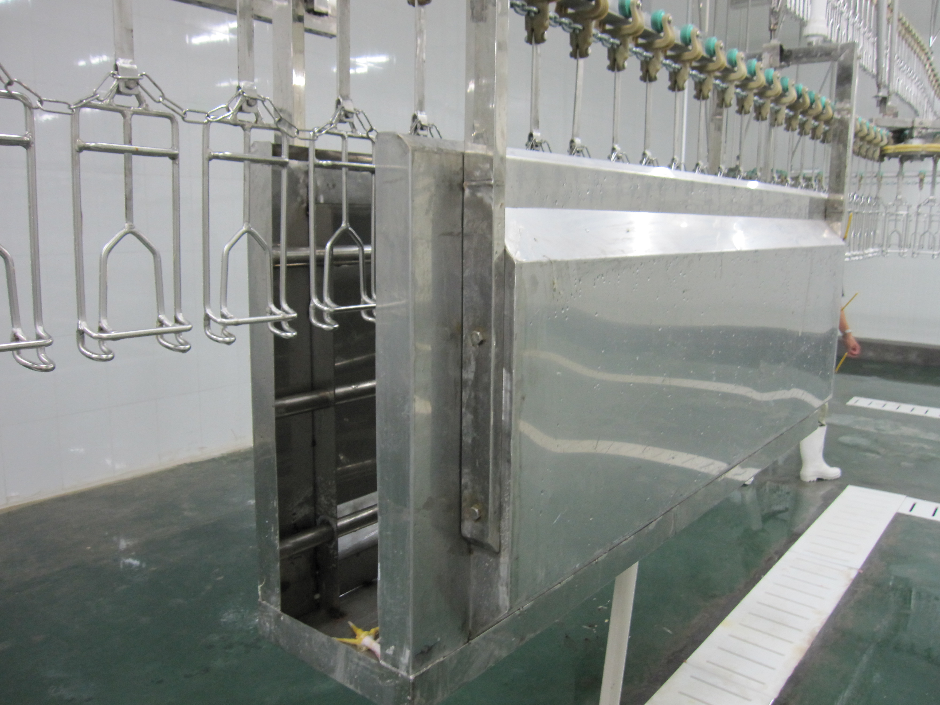 胴体清洗机 胴体清洗机