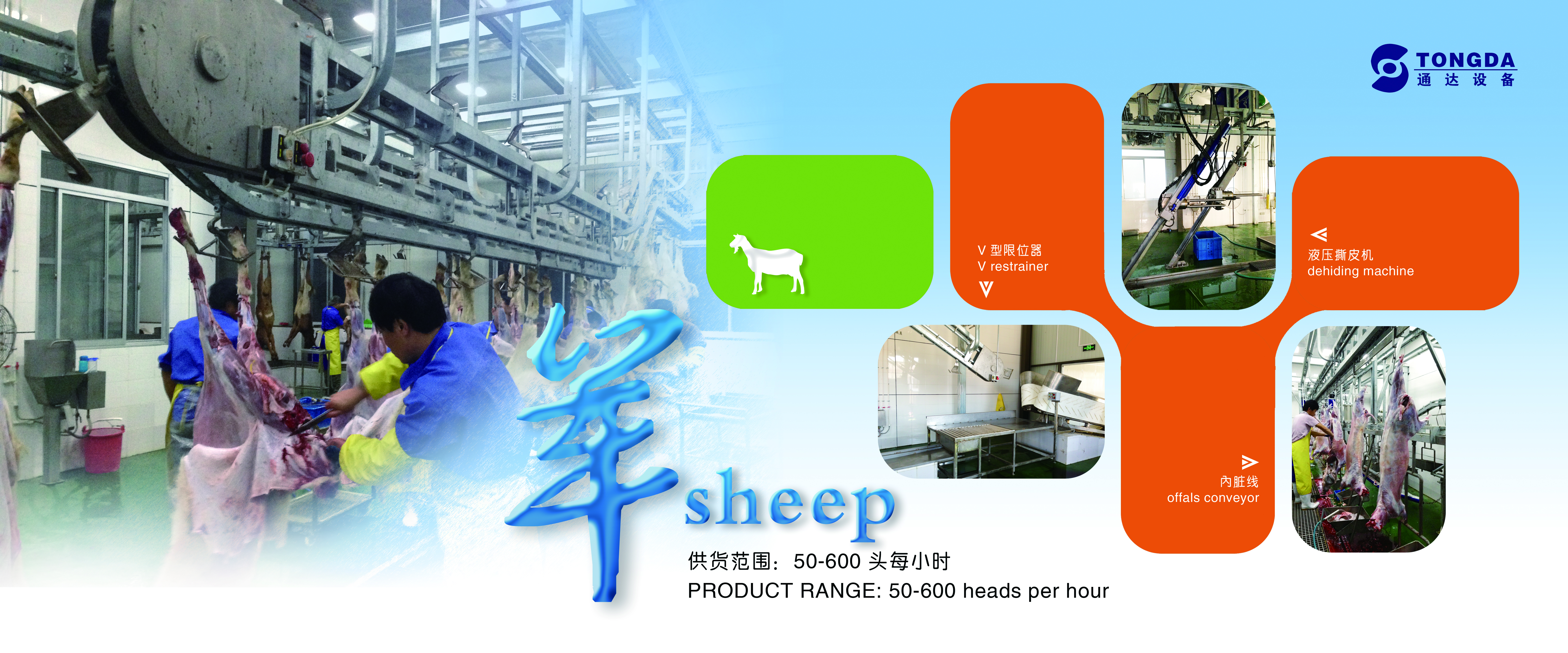 240-100羊 240-100羊