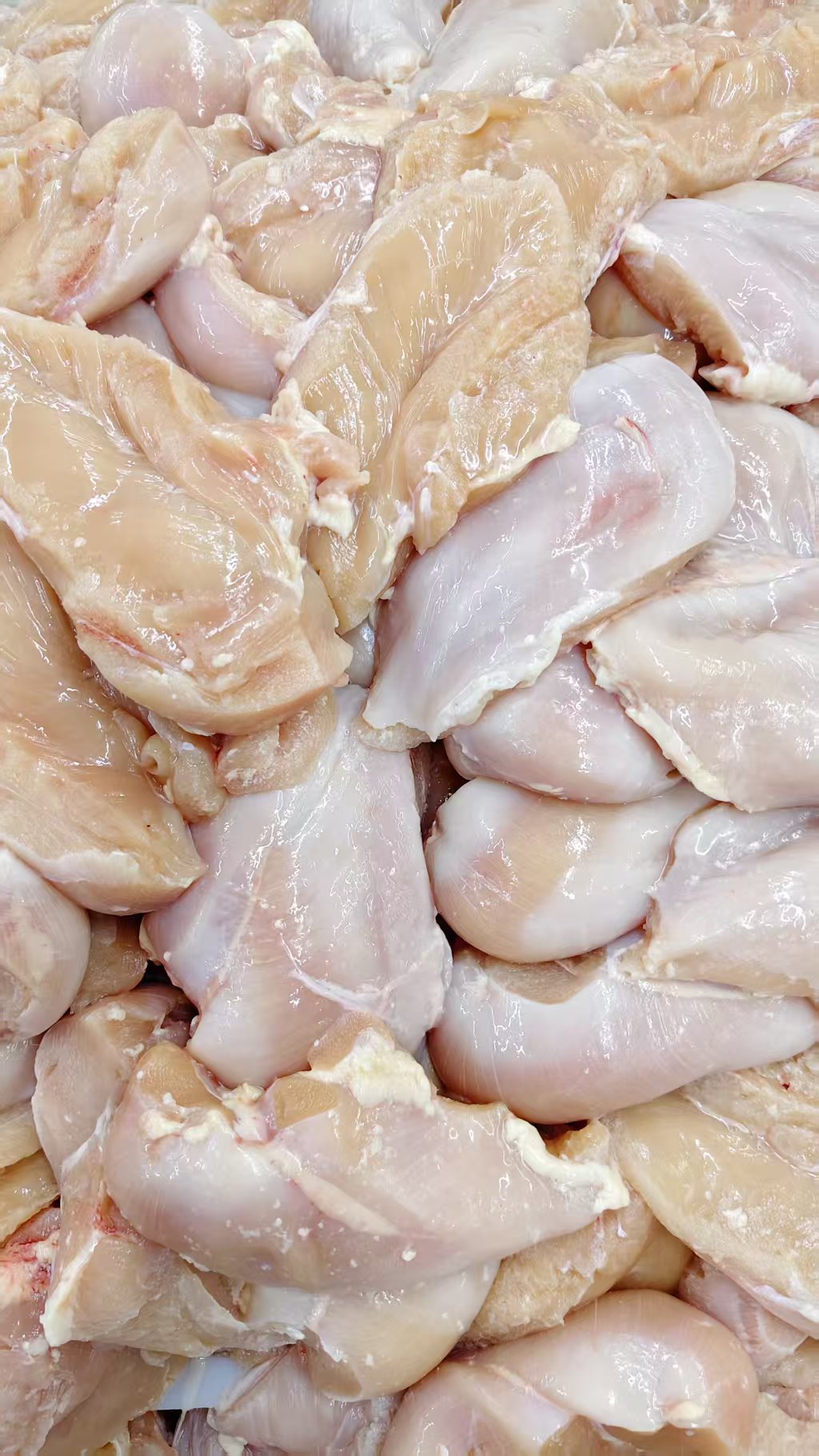 Frozen Chicken Breast