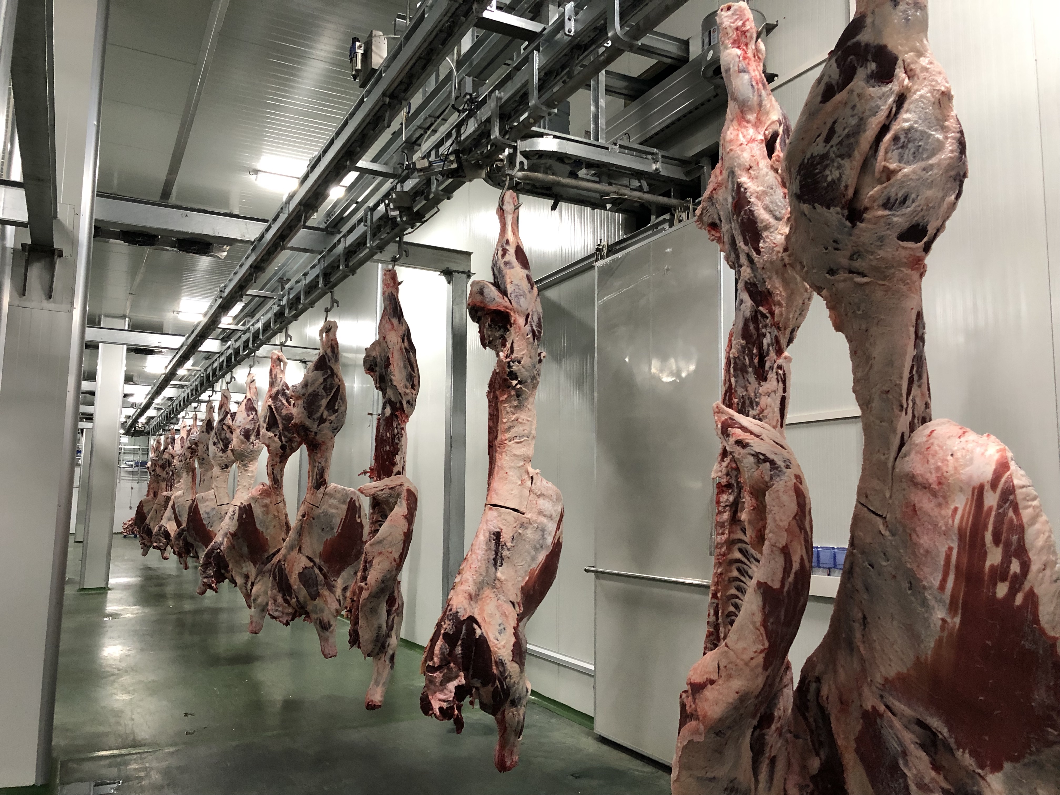 Fully Auto Chill System