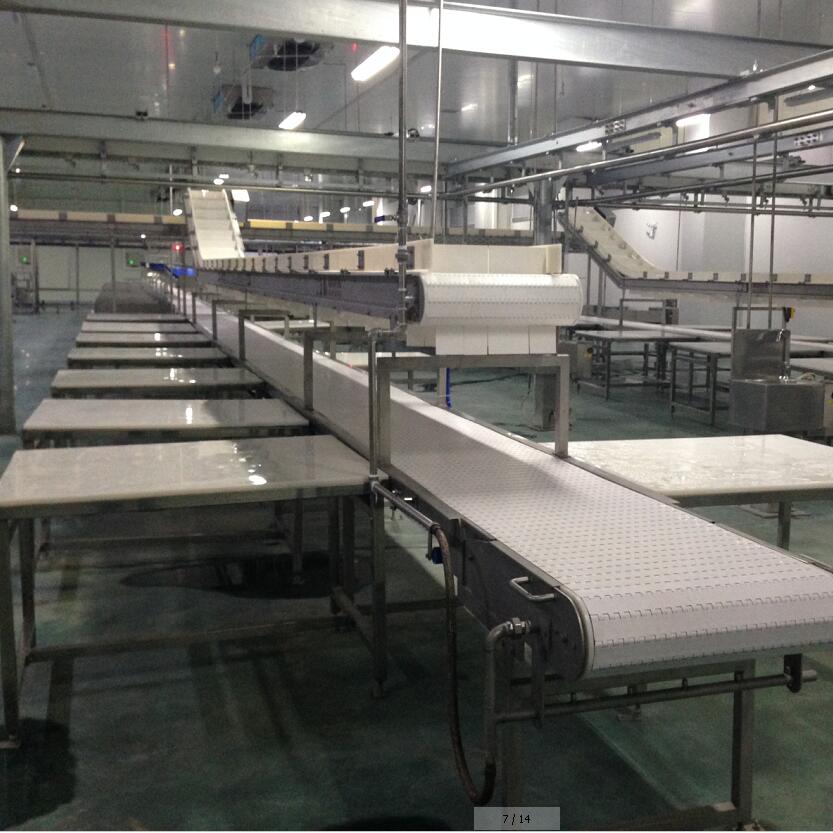 Meat Processing Line 4