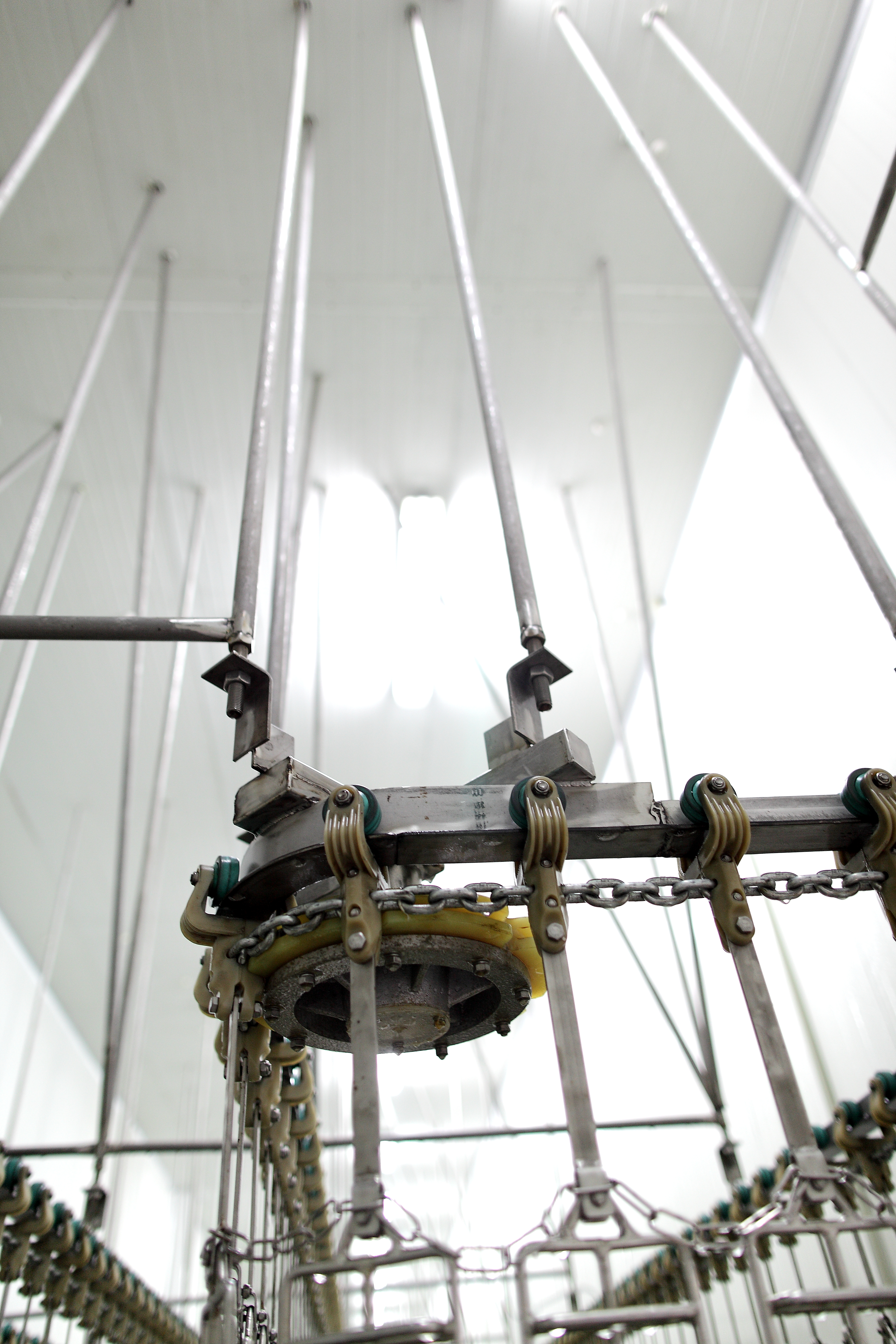 Hock Cutter and Hock Unloader