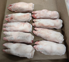 Frozen Pork Feet