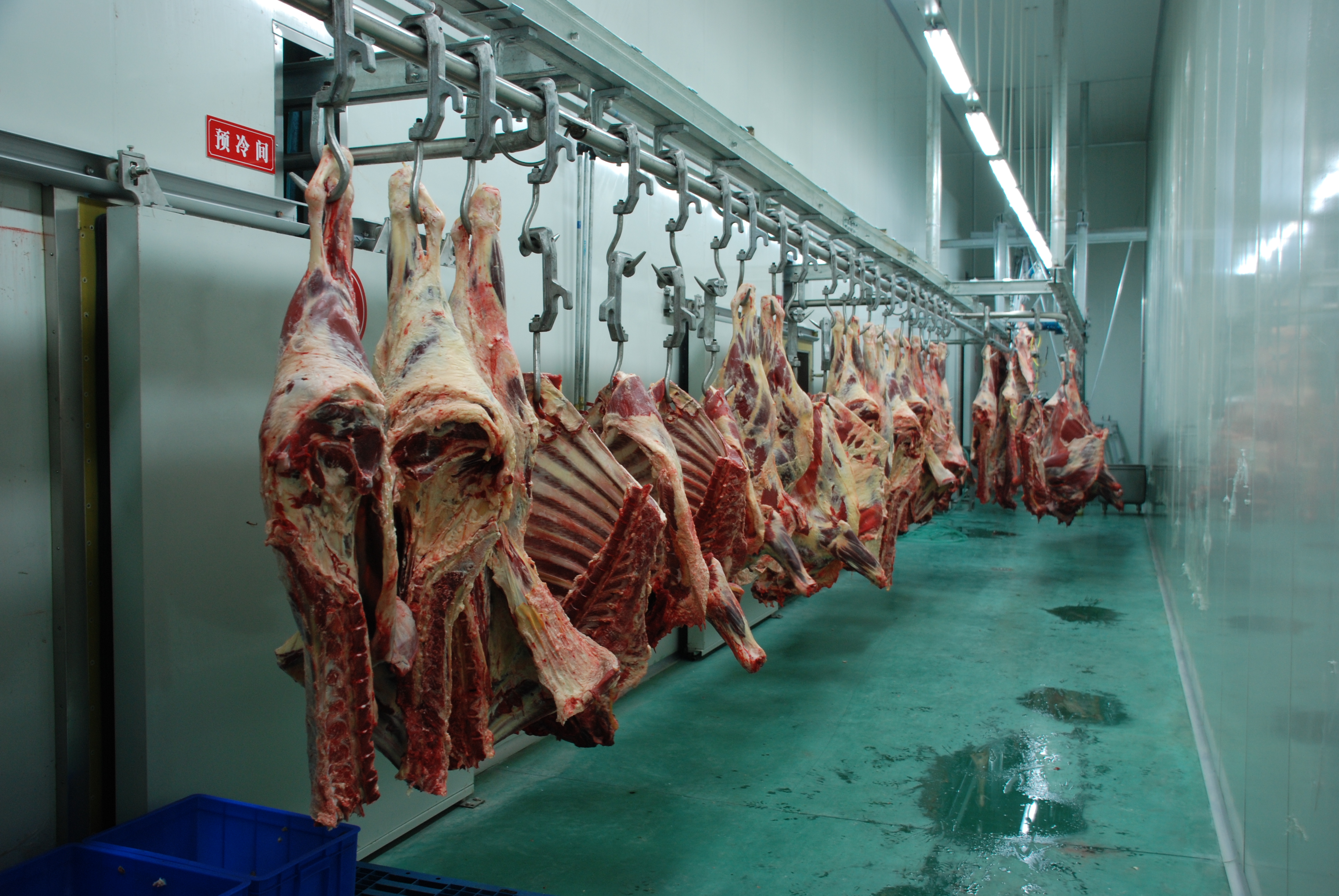 Fully Auto Chill System