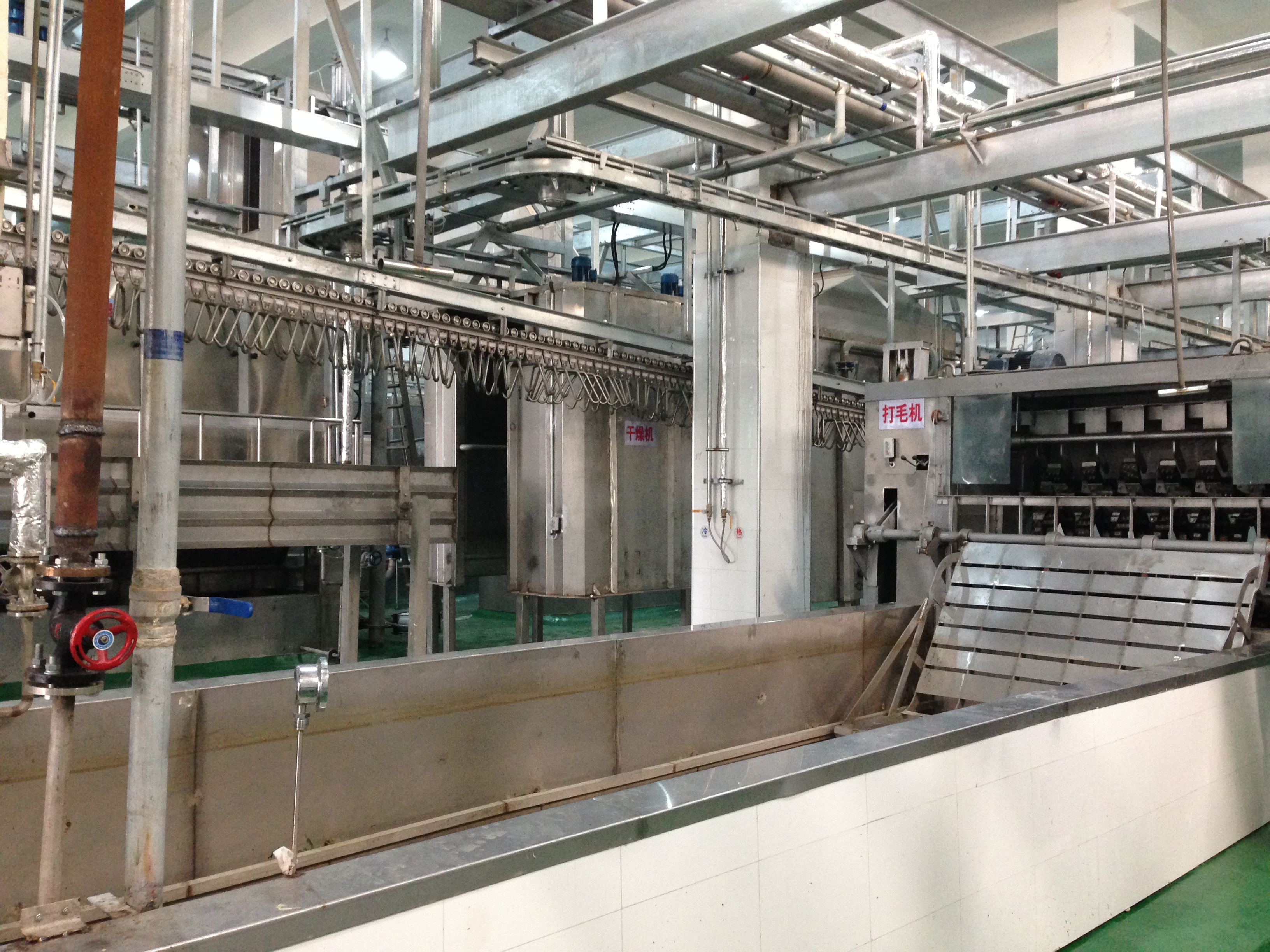 Dehairing Machine Auto