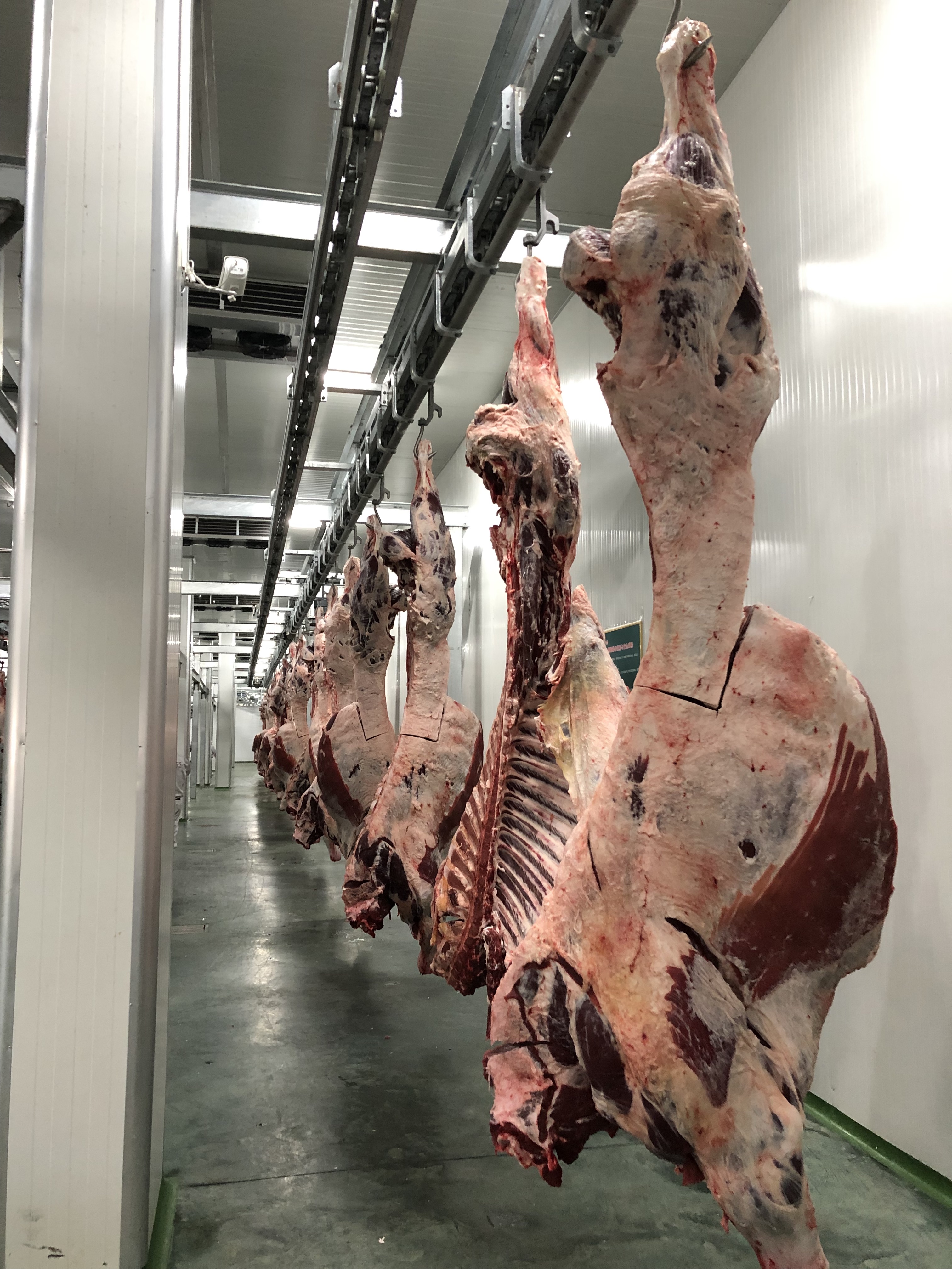 Rolling Hook for Cattle