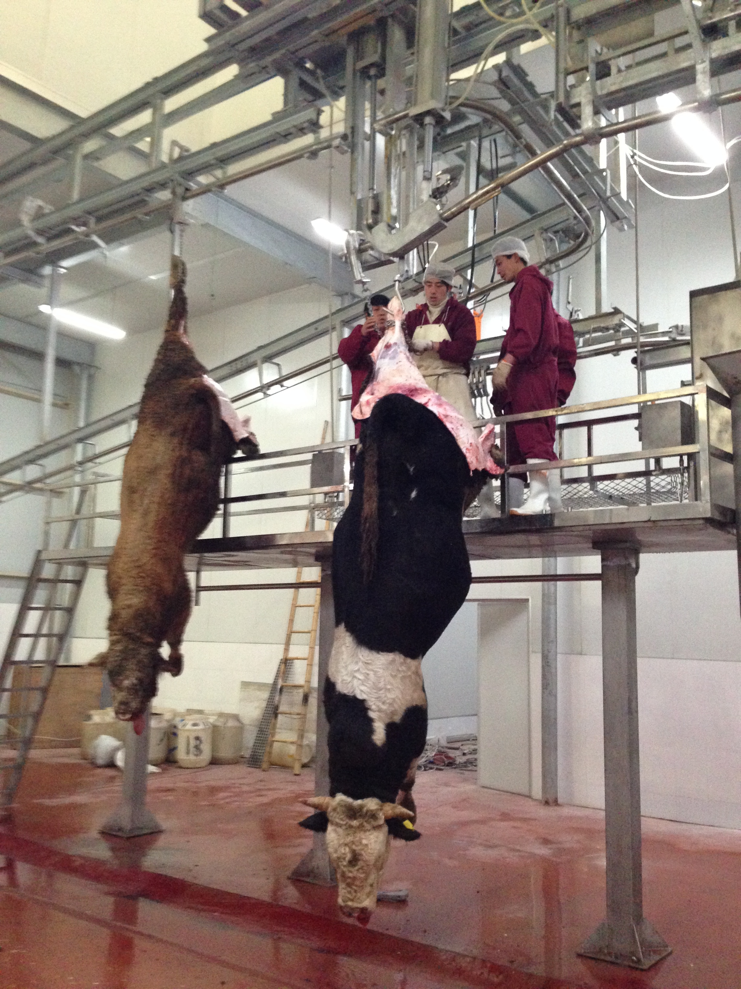 Various Operation Platforms