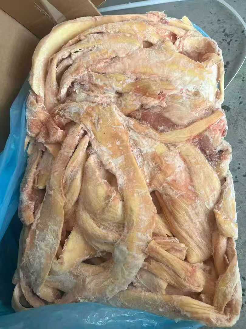 By-products of Cattle