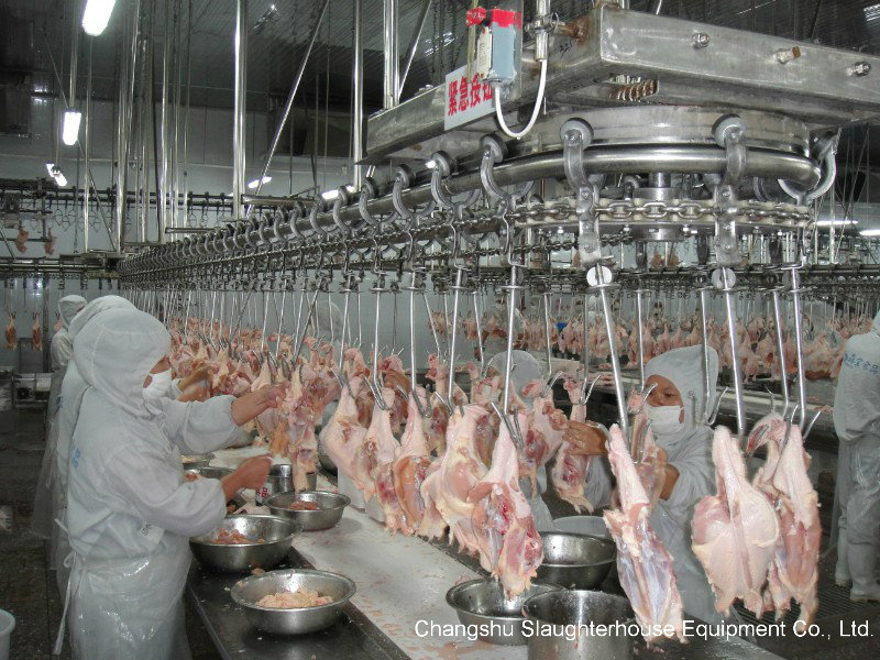 A Frame Final Plucker