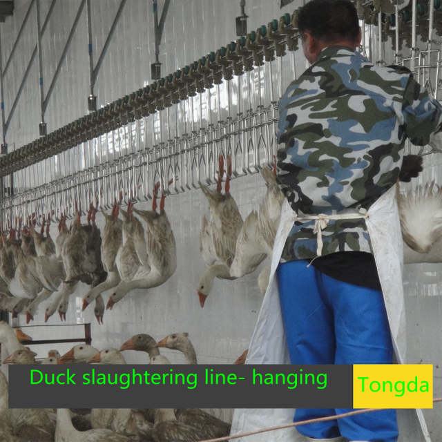 Overhead Slaughtering Line