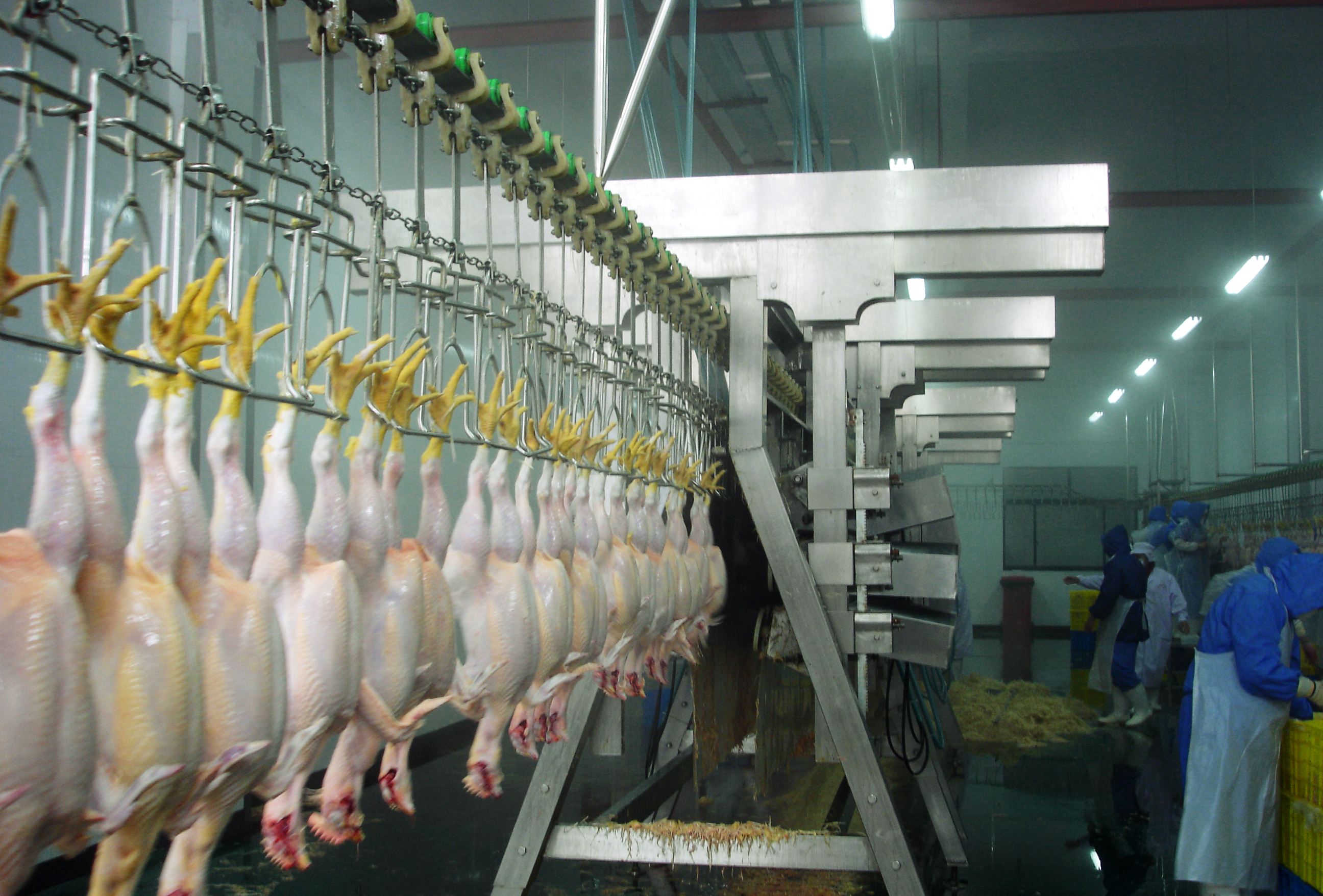 Scalding chicken feet and Remove chicken feet skin