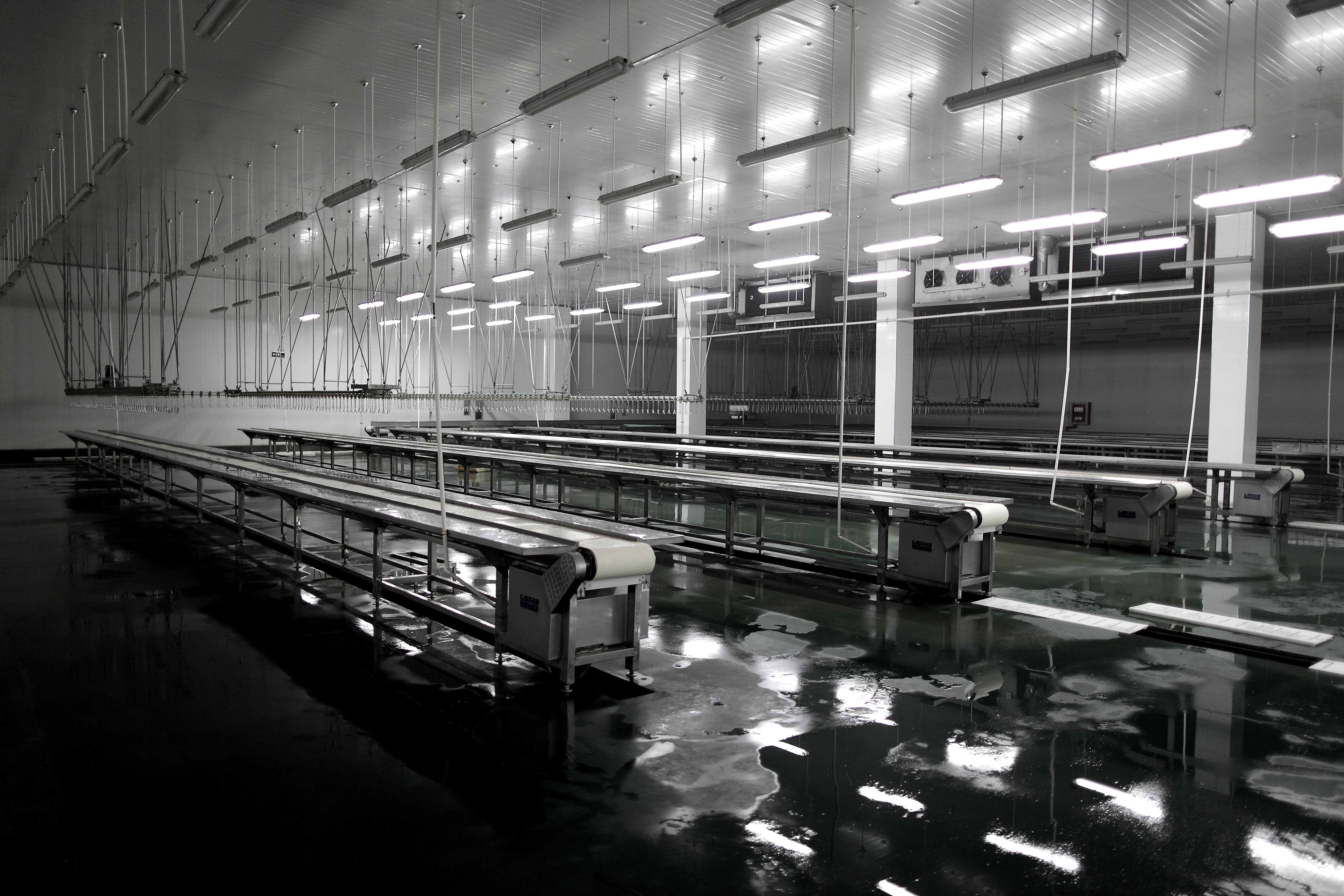 Gizzard Skin Remover