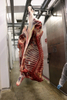 Chilled Beef Quarter Cow