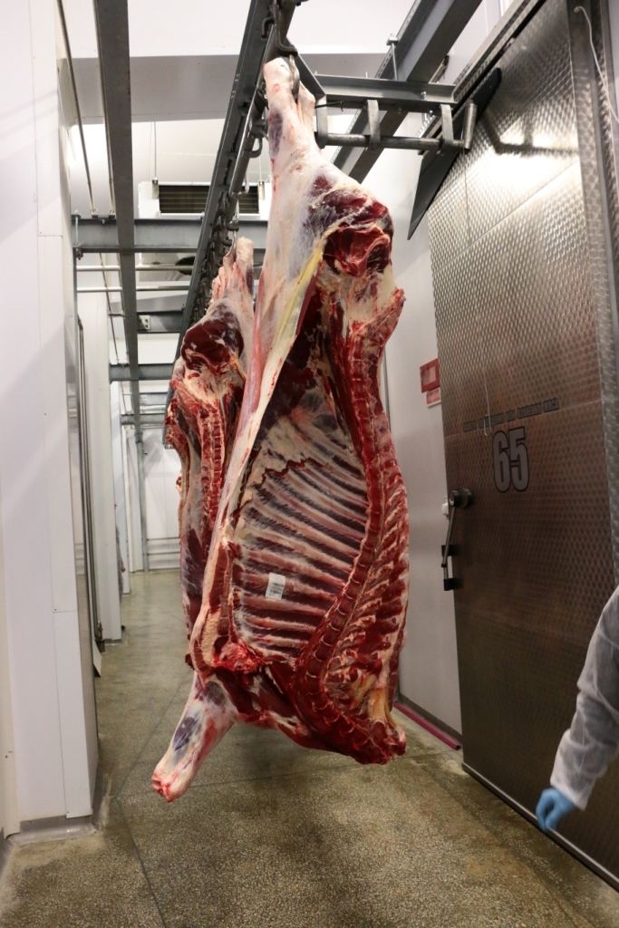 Chilled Beef Quarter Cow