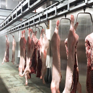 Quick Chill Conveyor