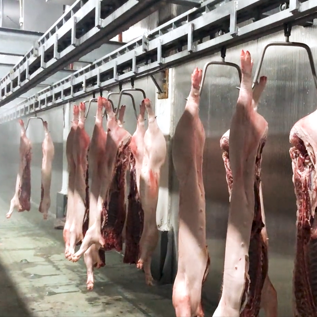 Quick Chill Conveyor