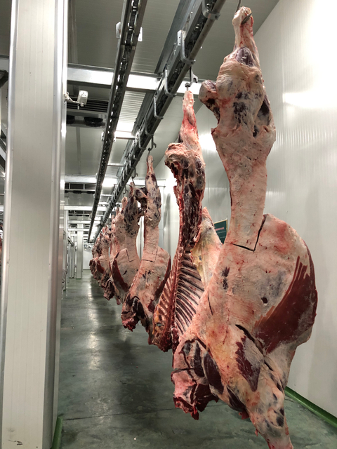 Fully Auto Chill System