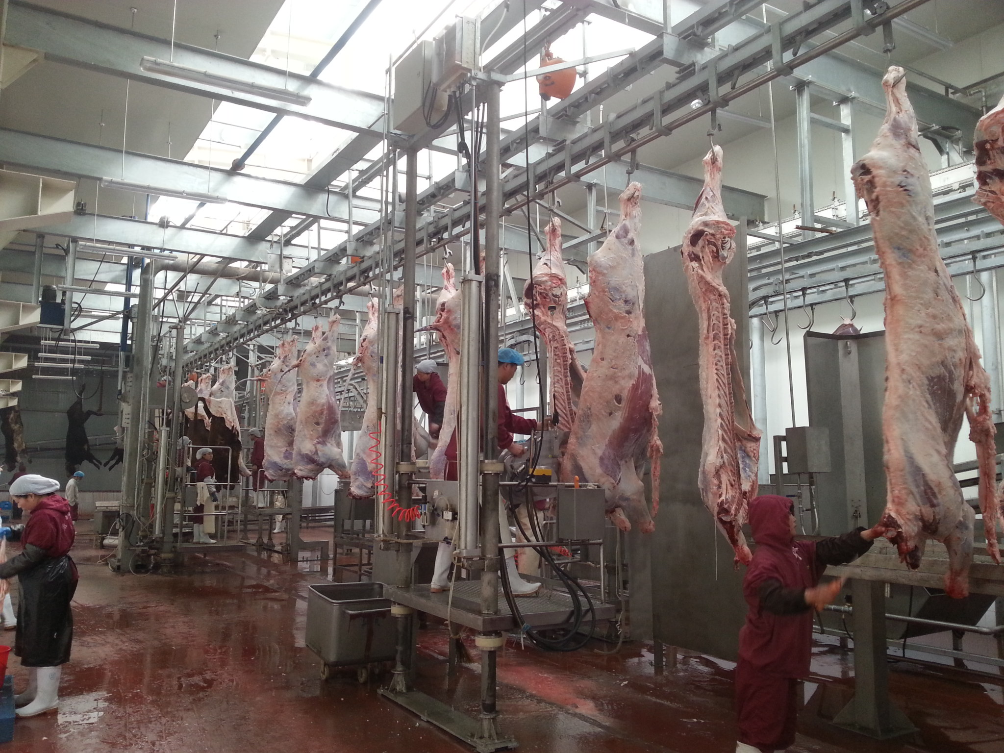 Bandsaw Splitting Half