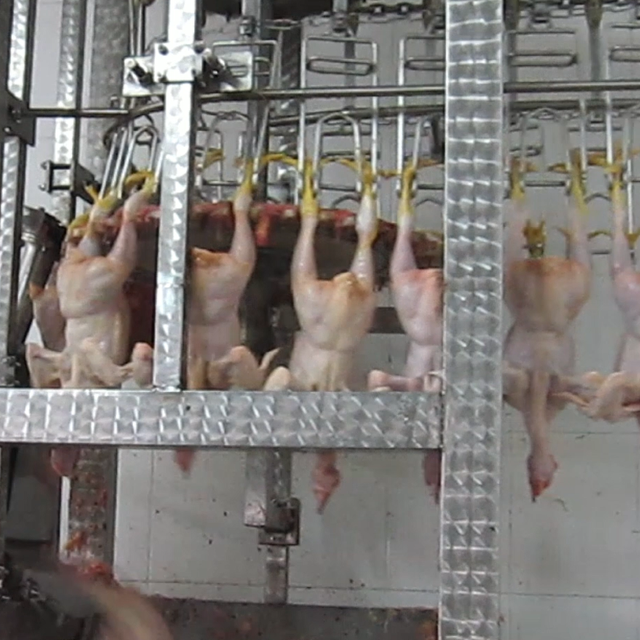 Hock Cutter and Hock Unloader