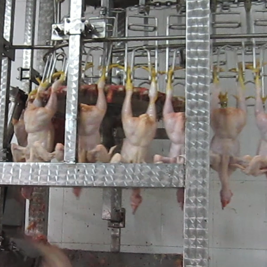 Hock Cutter and Hock Unloader