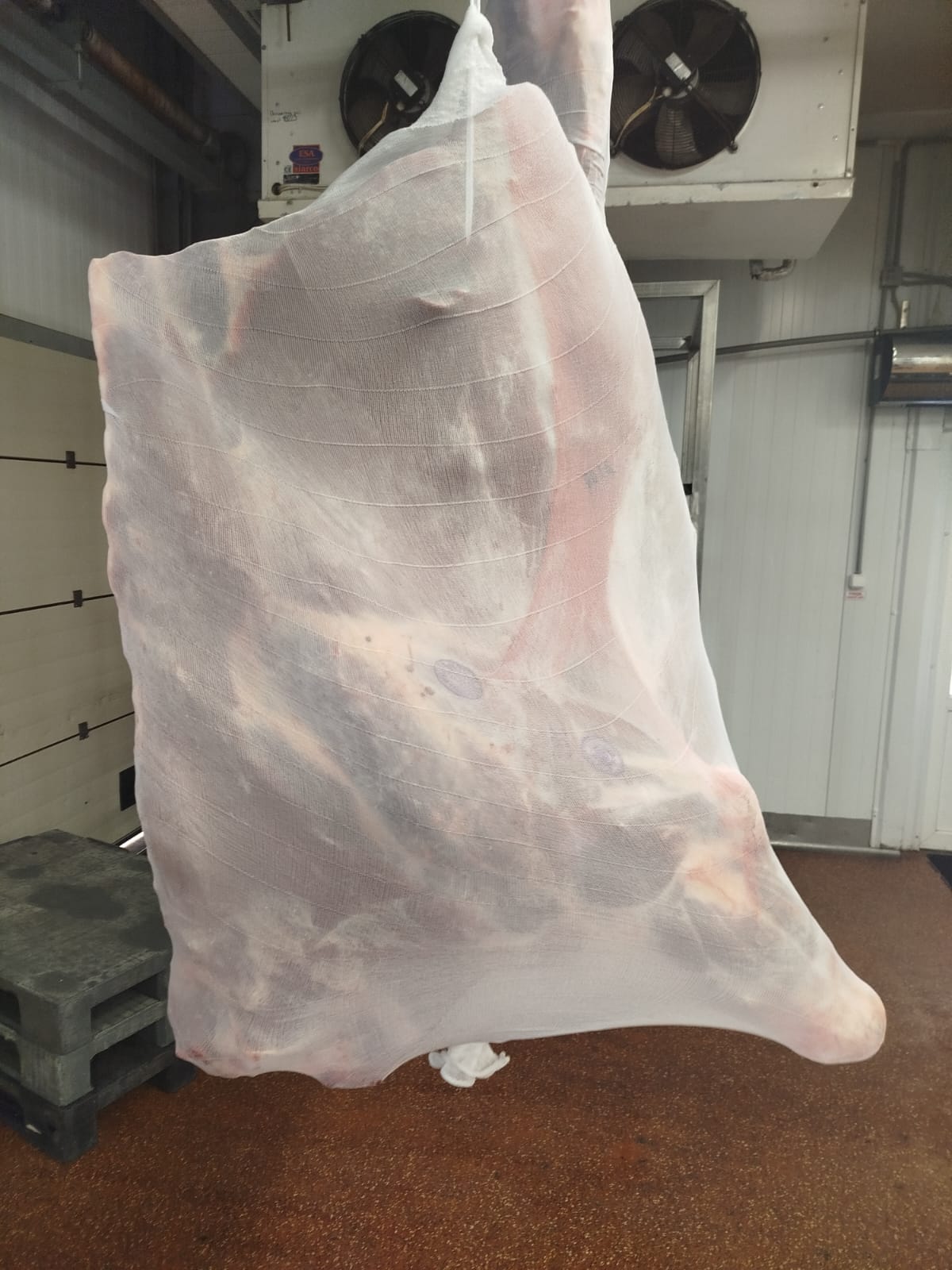 Chilled Beef Quarter Cow