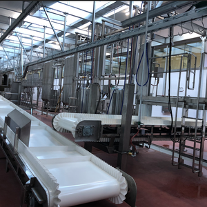 Red Offals and Water Offals Conveyor