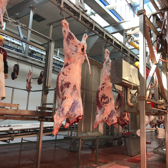 Bandsaw Splitting Half