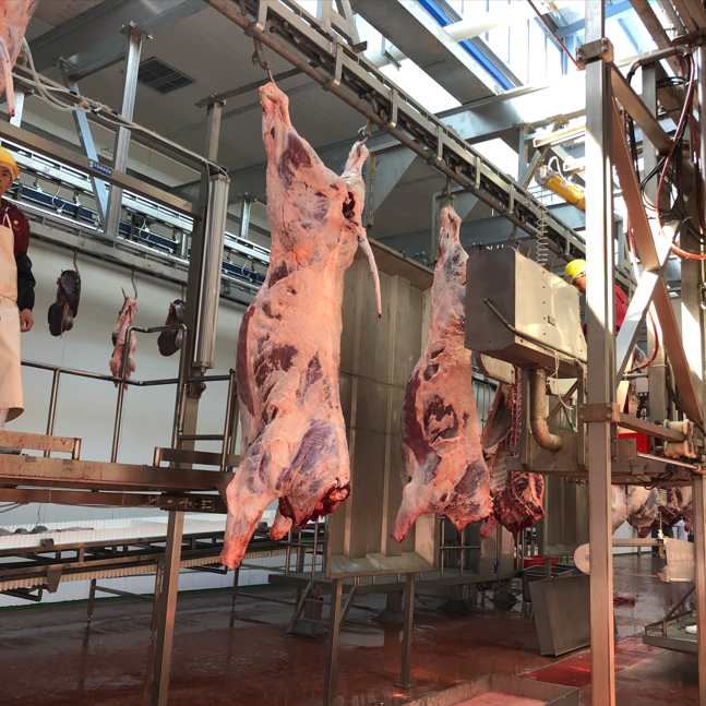 Bandsaw Splitting Half