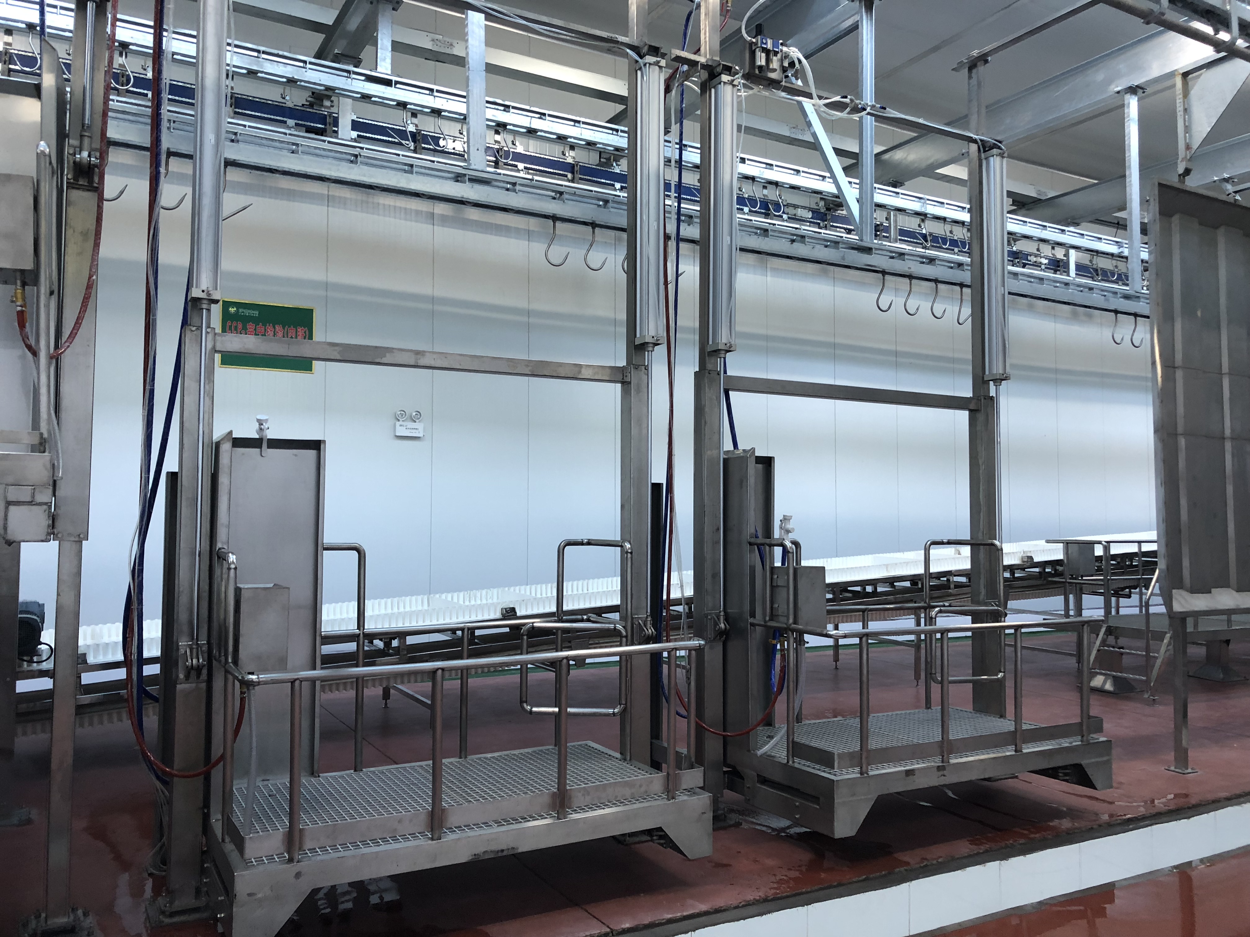 Red Offals and Water Offals Conveyor