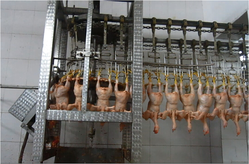 Hock Cutter and Hock Unloader