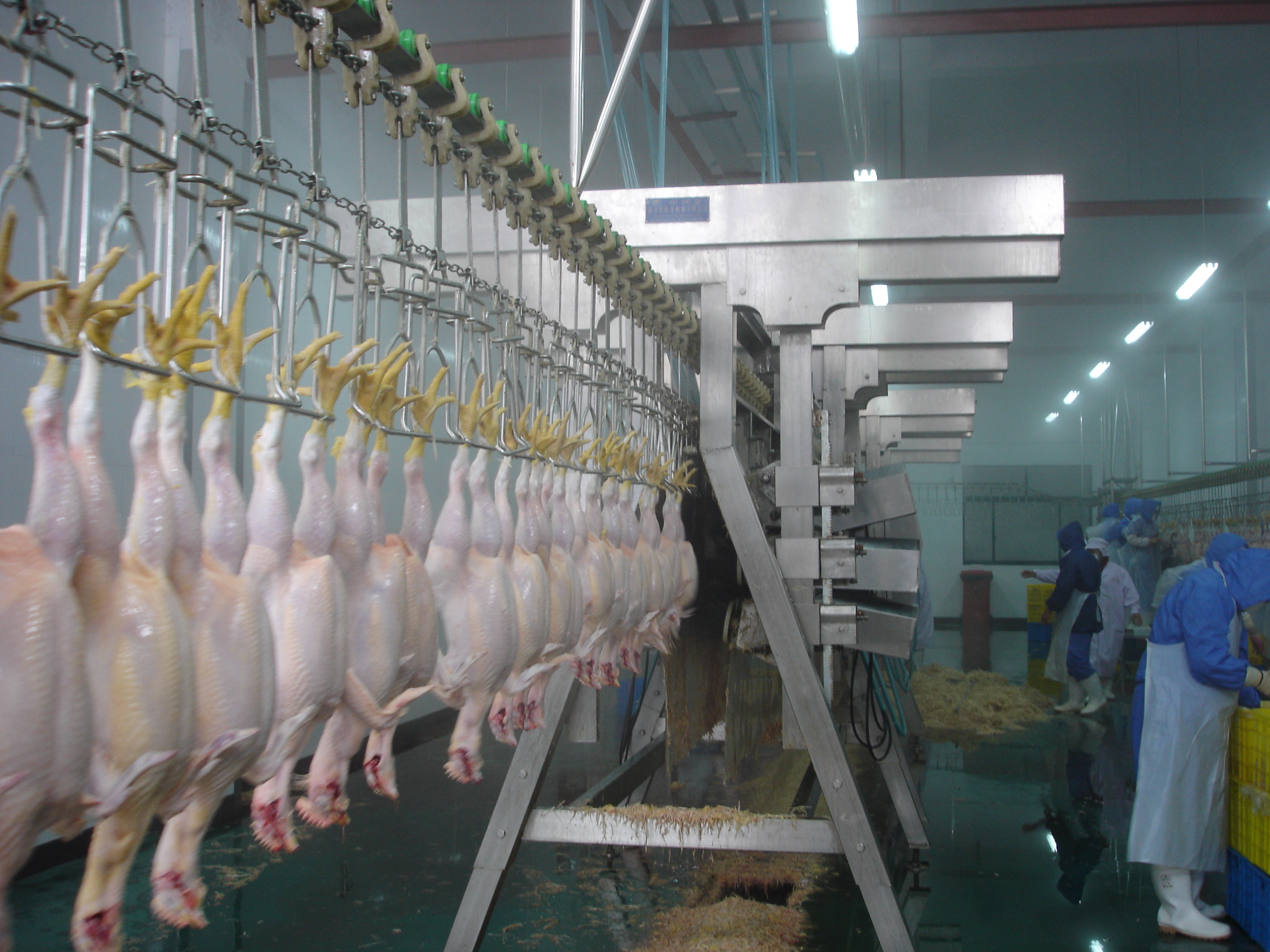 A Frame Final Plucker