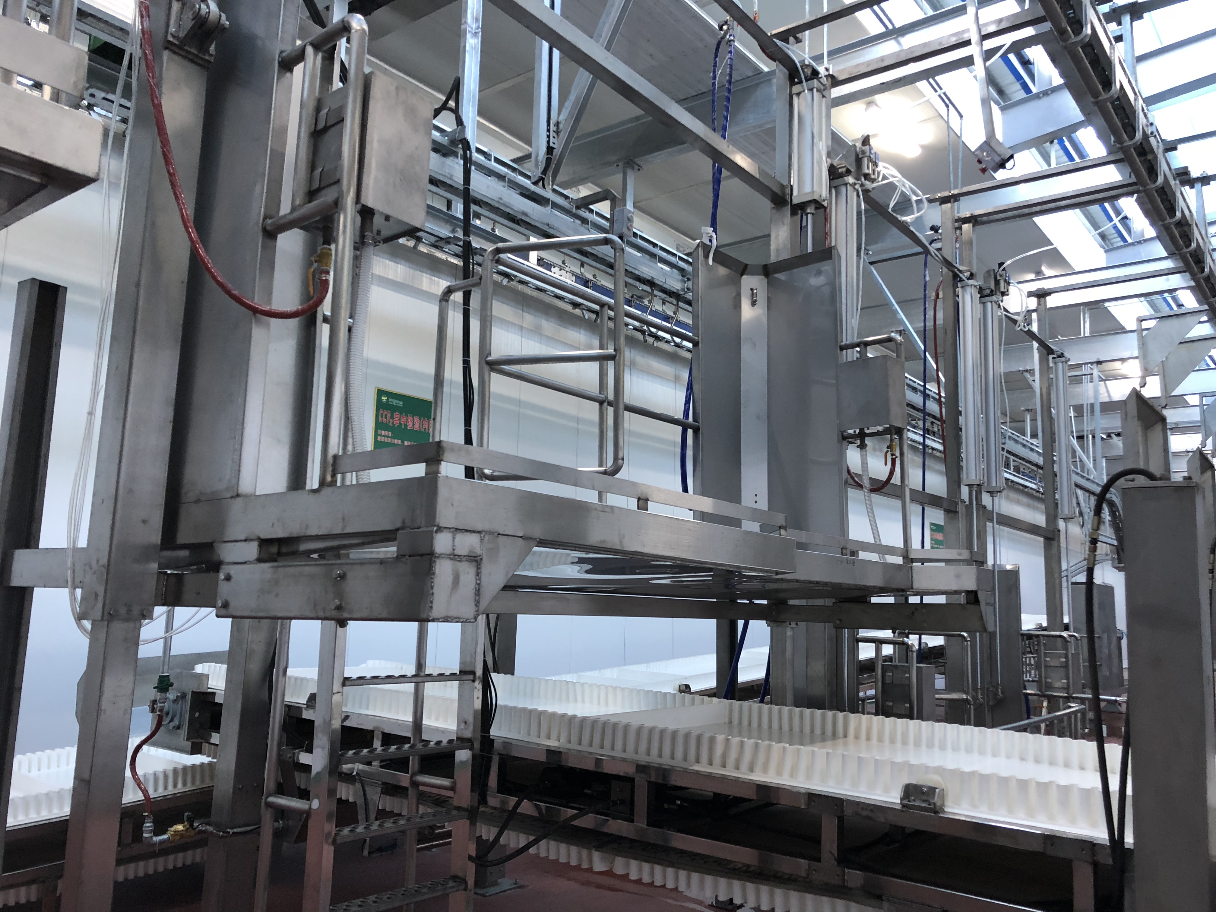 Red Offals and Water Offals Conveyor