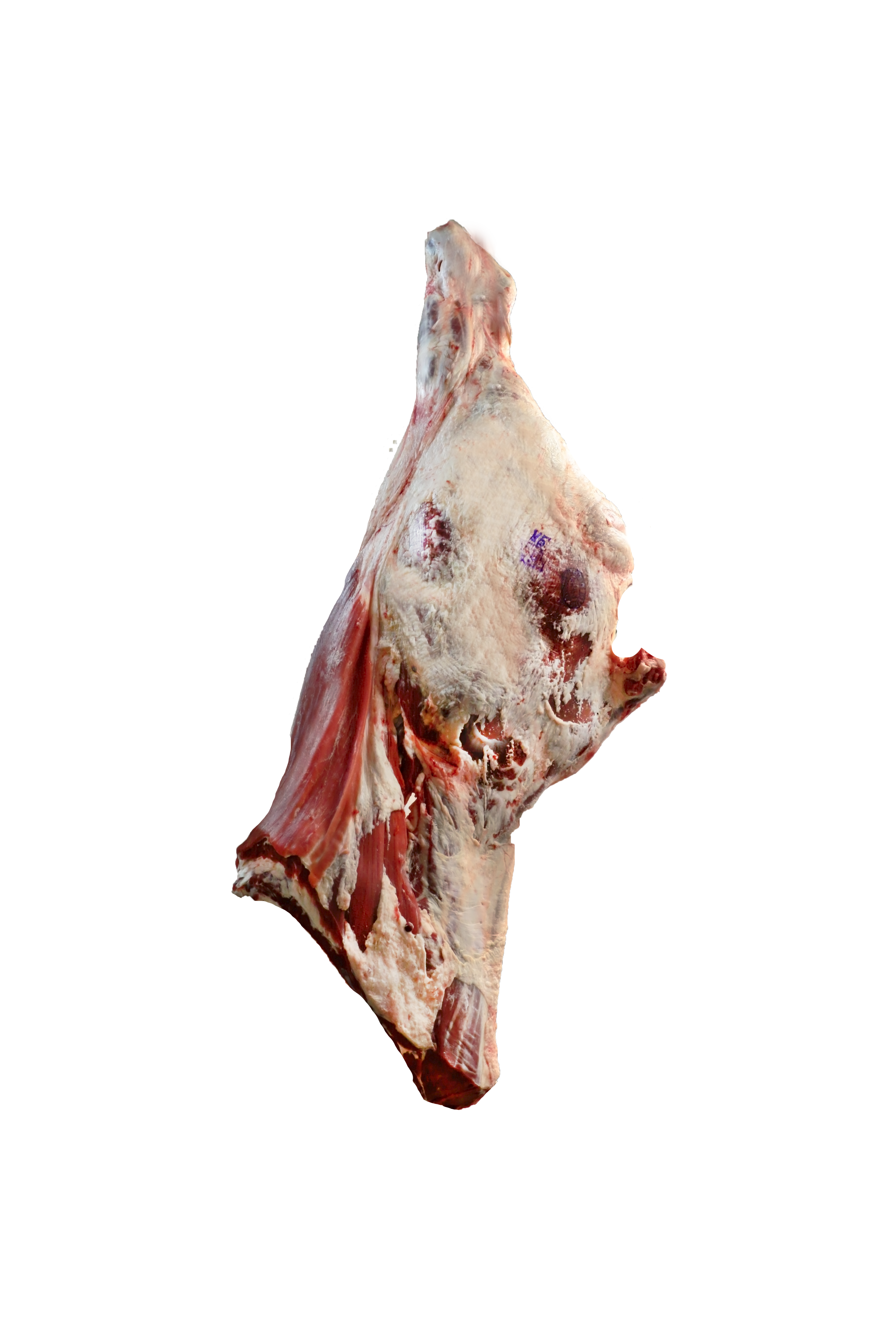 Chilled Beef Quarter Cow