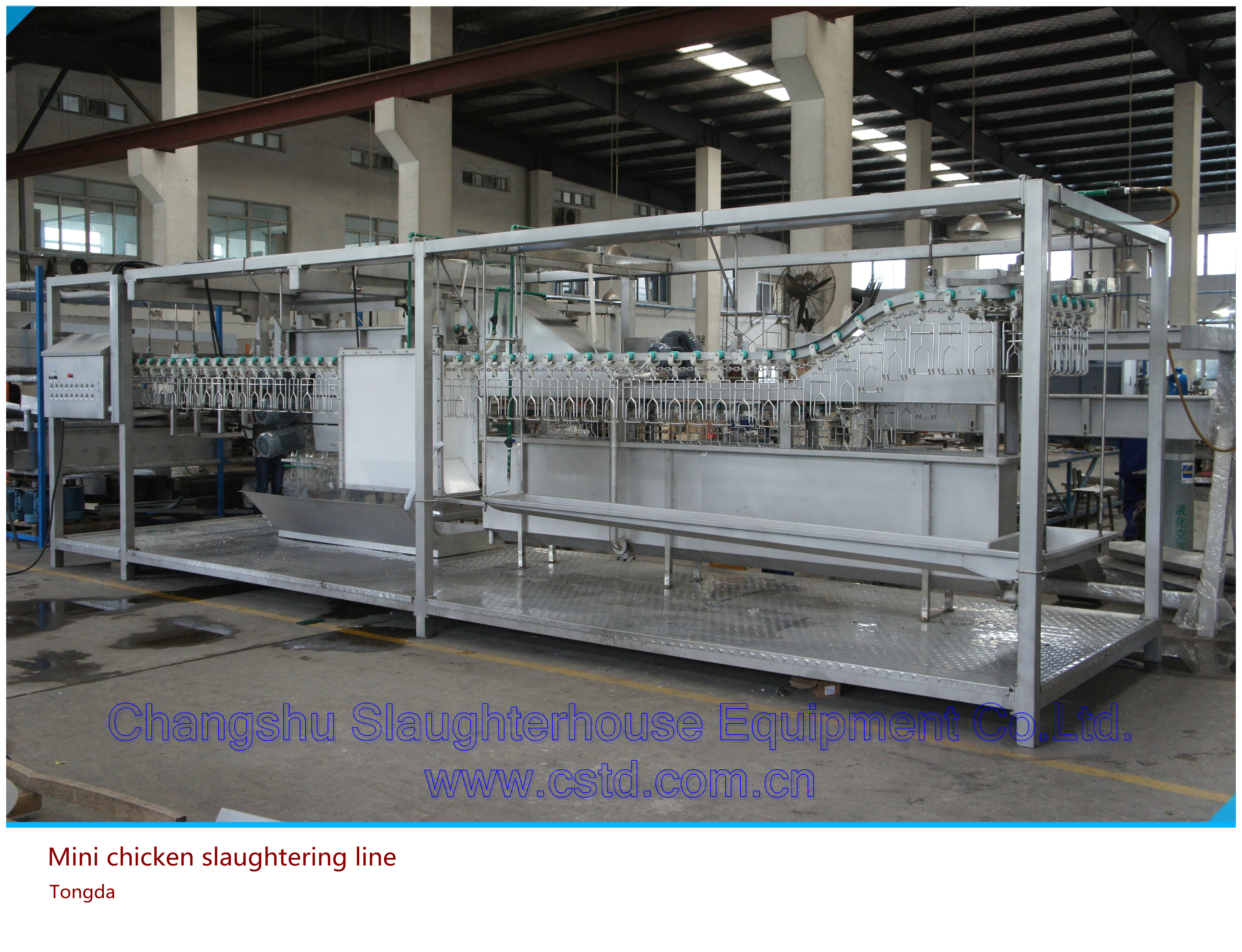 Mini chicken slaughtering line 1
