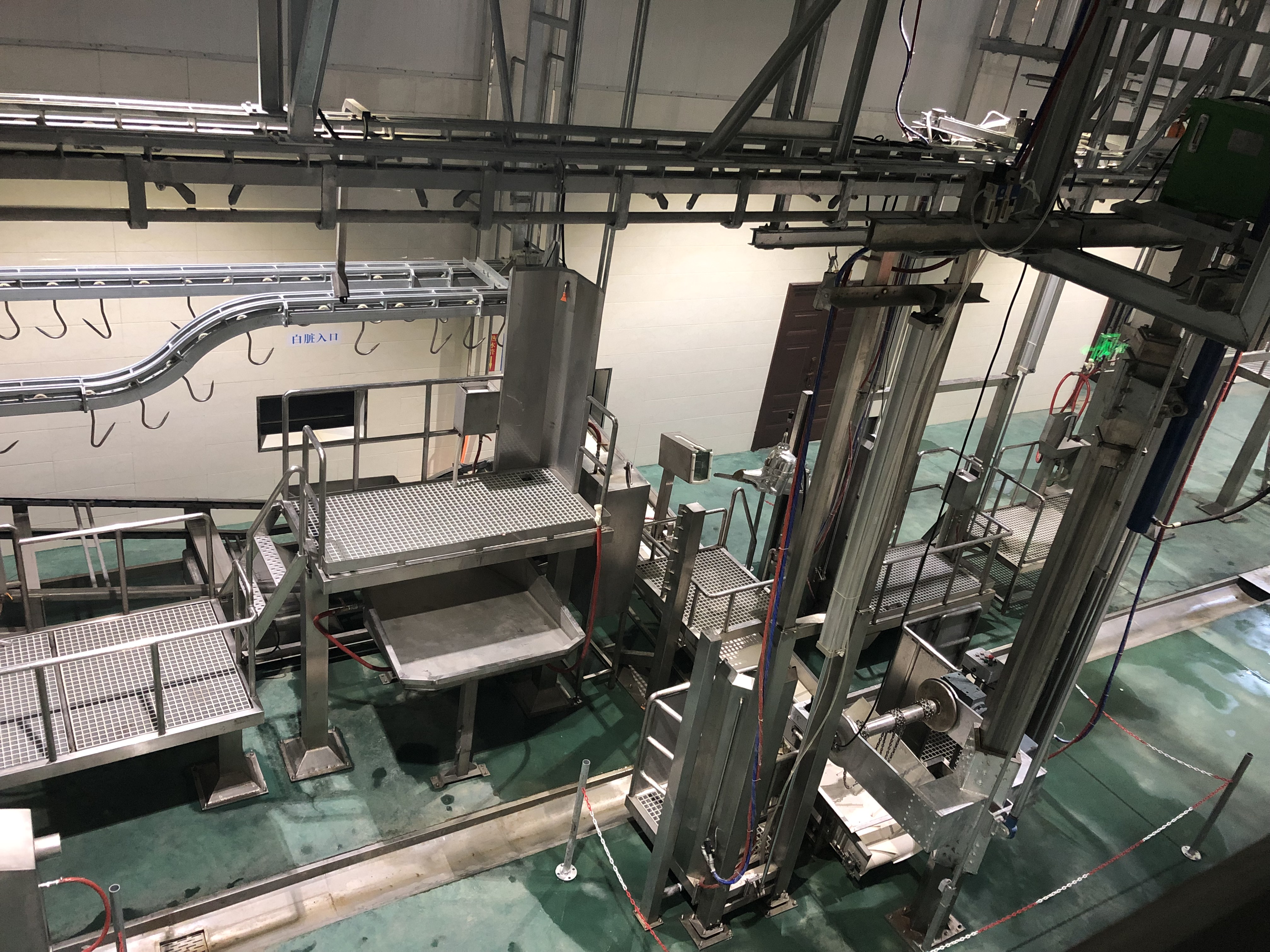 Red Offals and Water Offals Conveyor