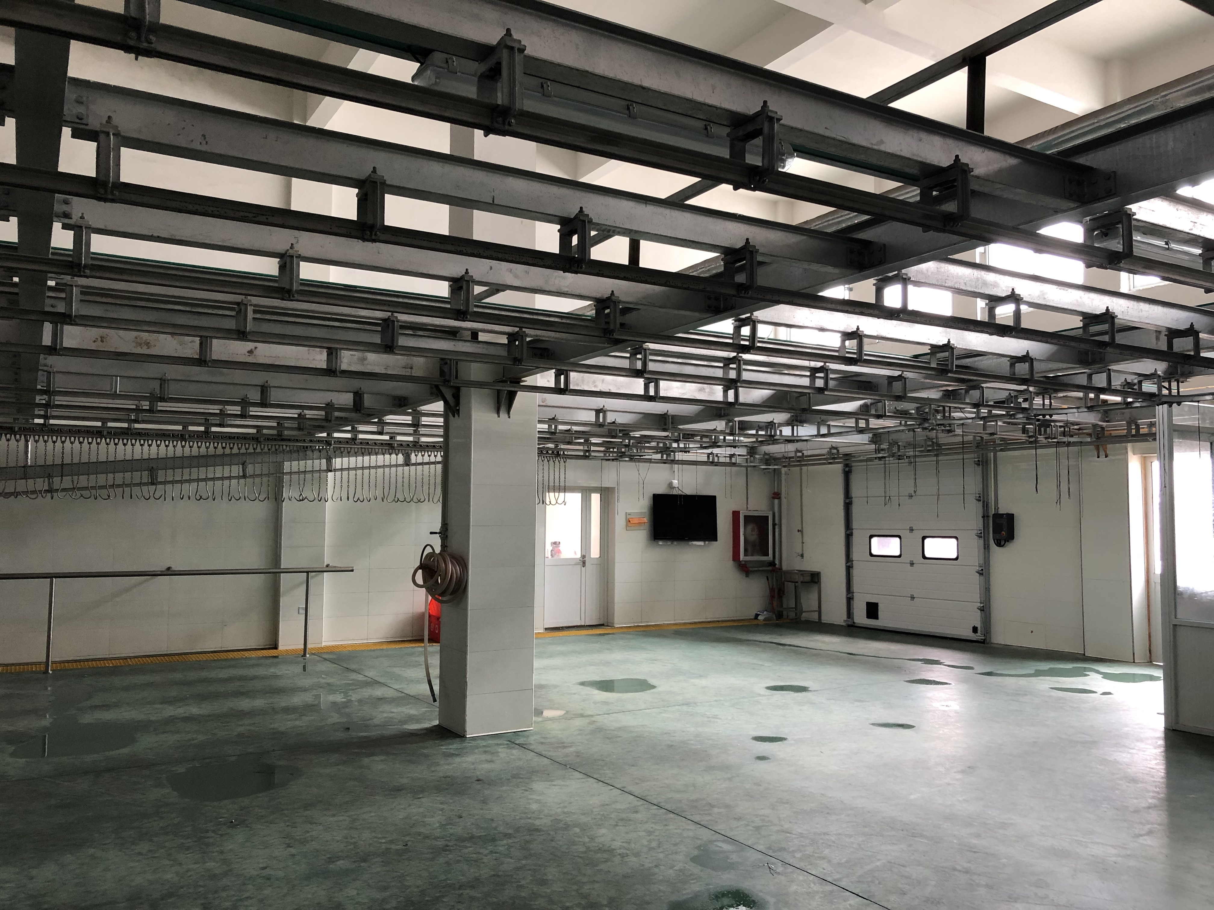 Quick Chill Conveyor