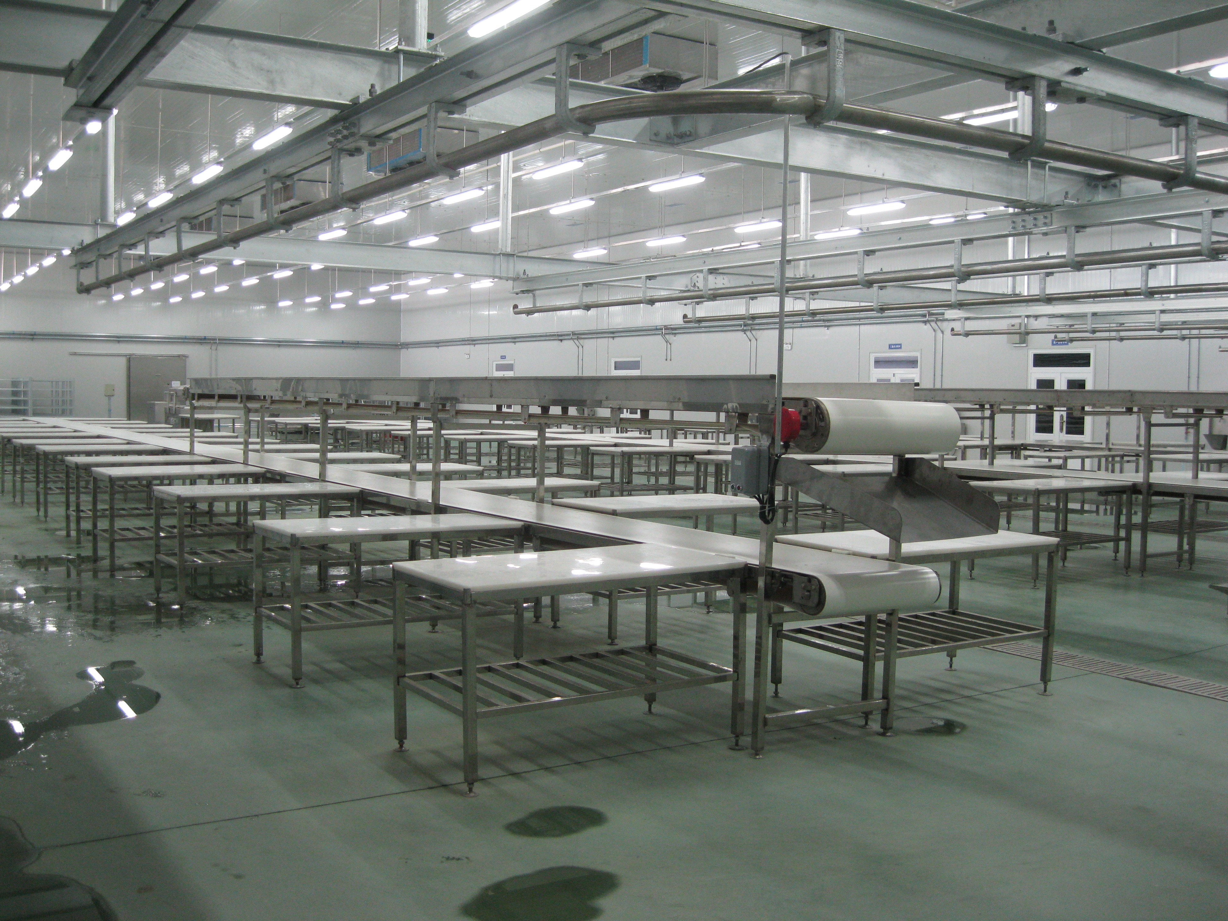 Slat Belt Conveyor for Boning And Cutting